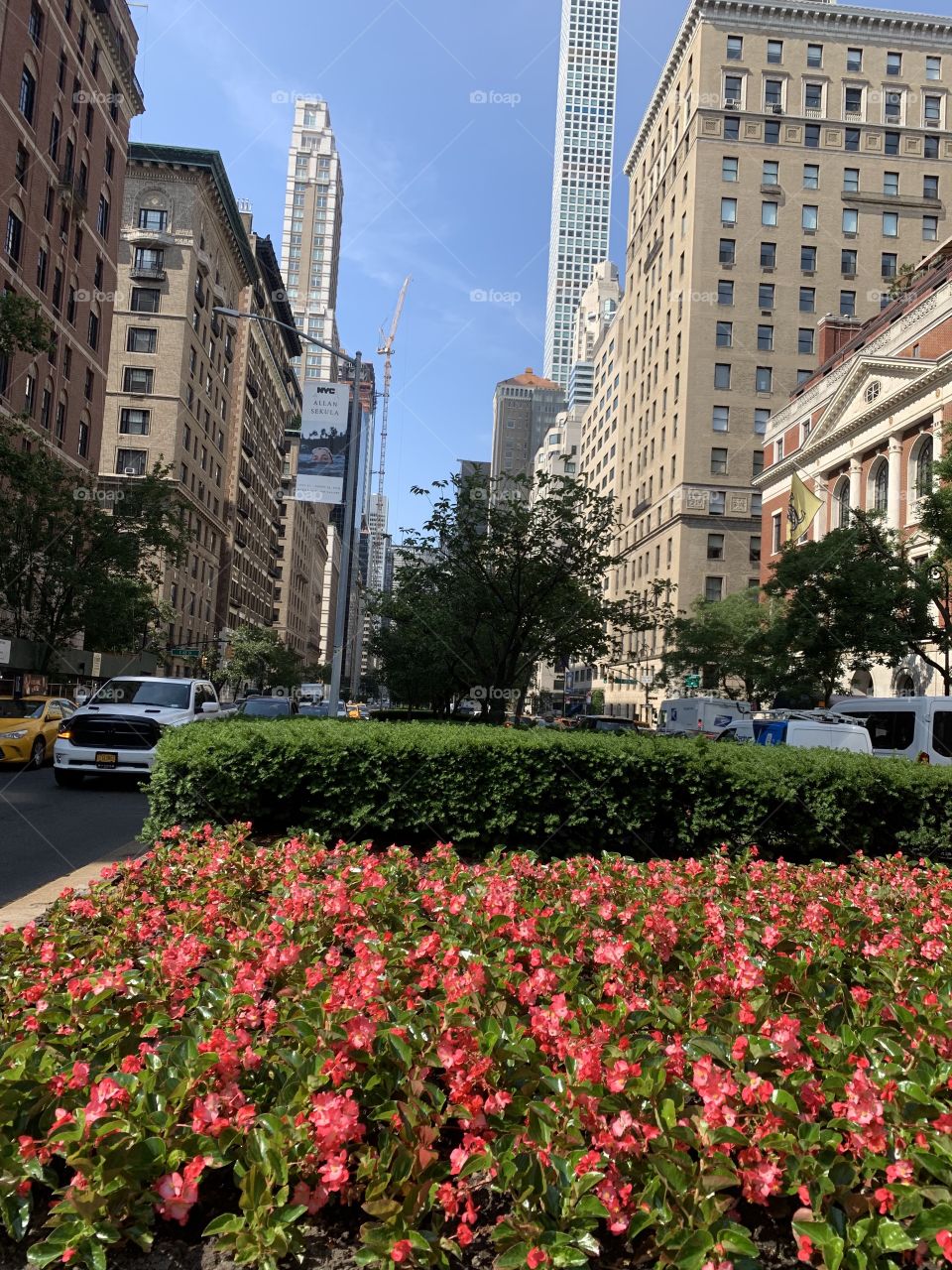 Nice flowers in Manhattan Park Avenue 