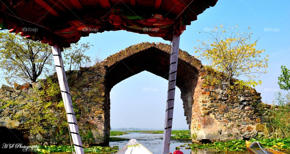 Dal Lake srinagar kashmir India
