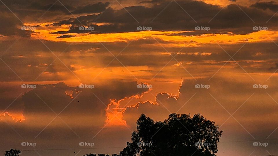 orange sky during the sunset