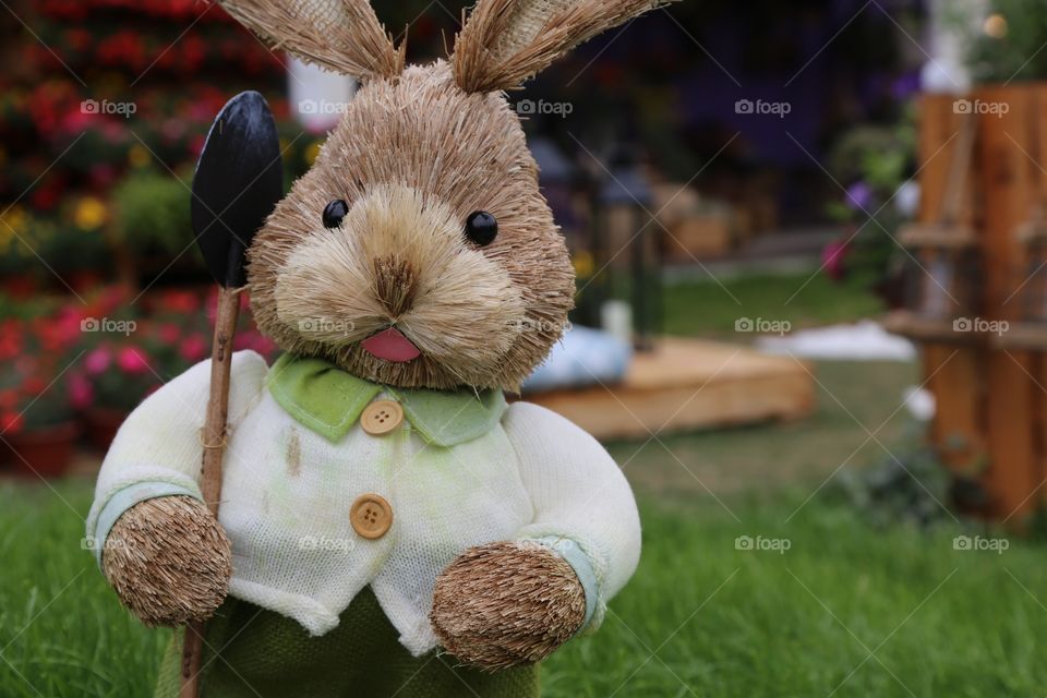 Bunny in garden