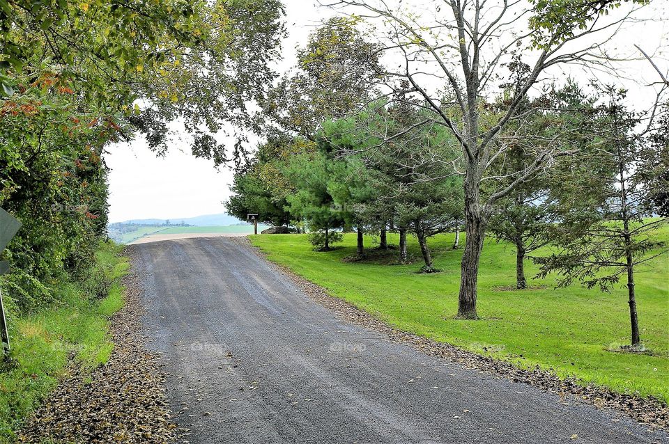 Country Road Opens to a View