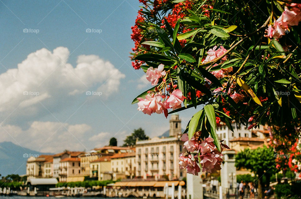 Bellagio