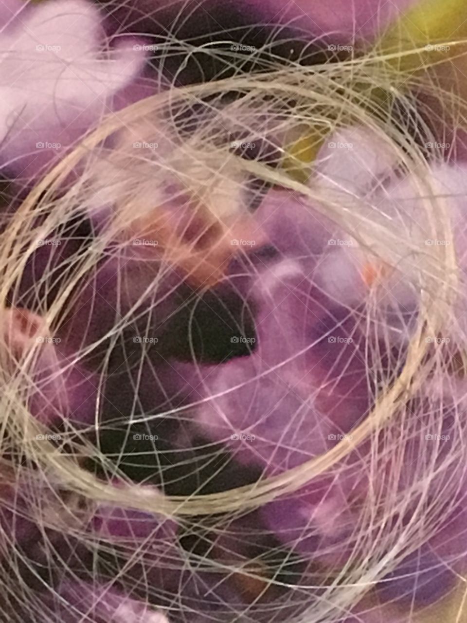 Circle of hair