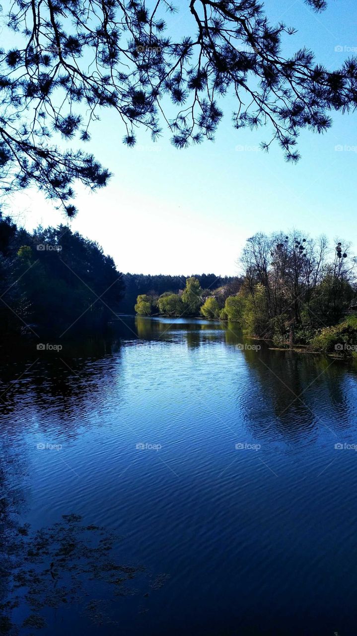 лісові озера