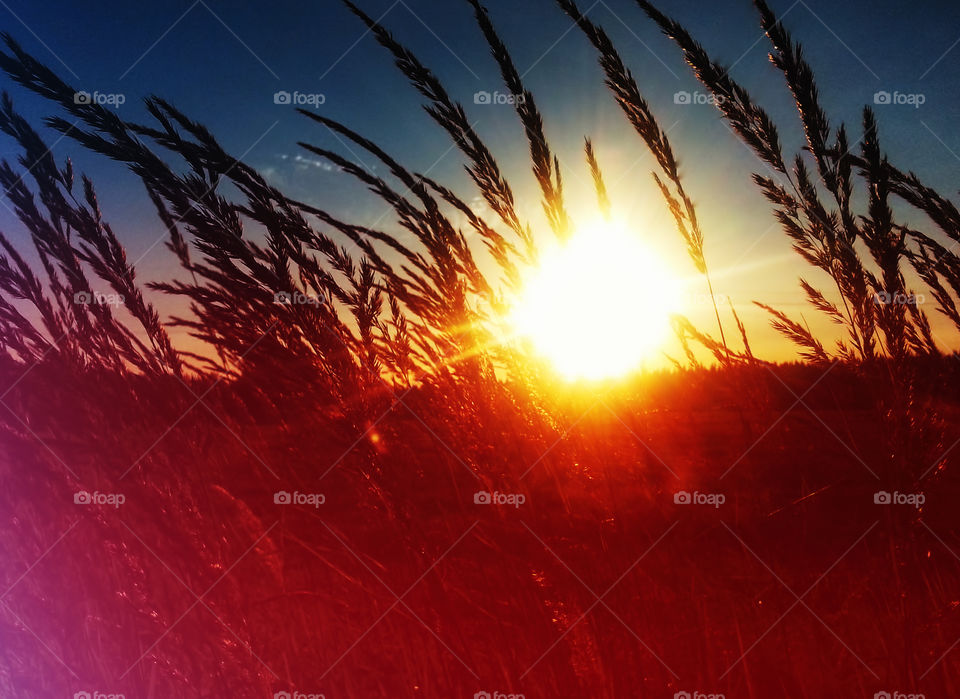 Dramatic sun beam on field landscape