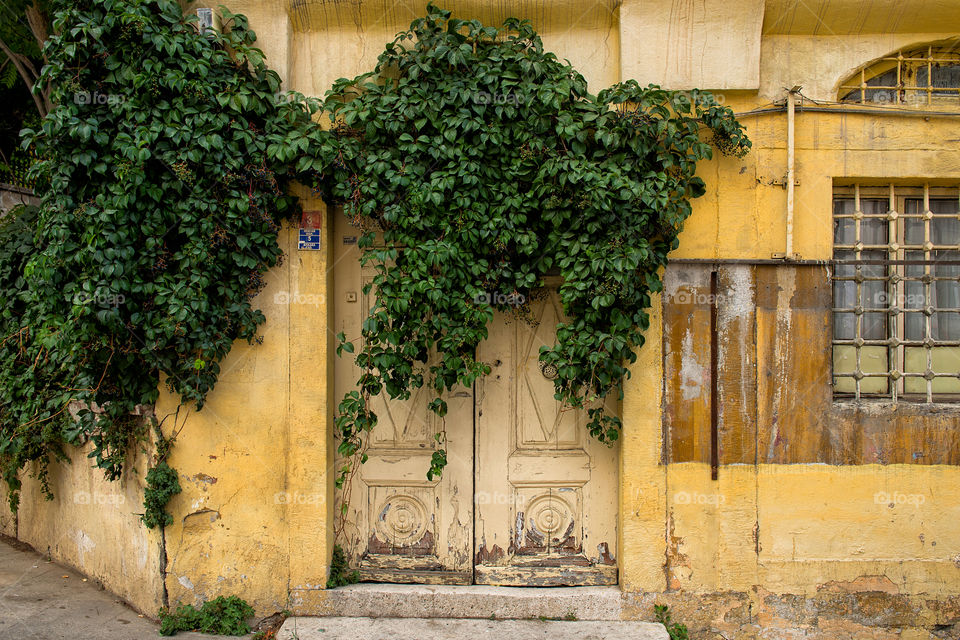the old door is covered with plants in the old building