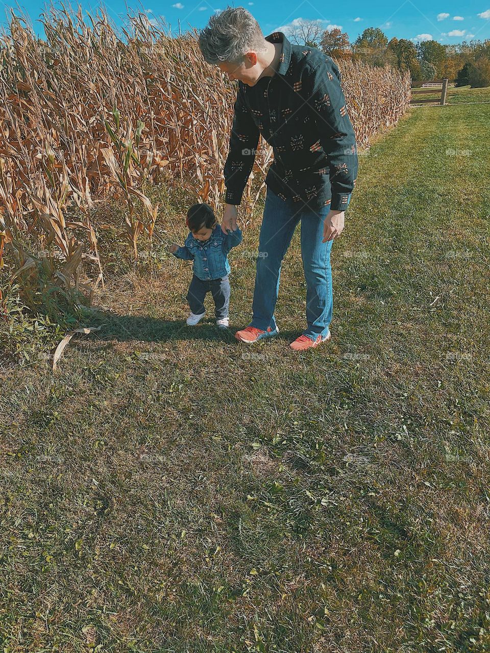 Walking with Mommy in the corn field, corn mazes in the fall time, mommy and baby, fall time walks, autumn in the Midwest, colorful fall time, holding hands with mommy 