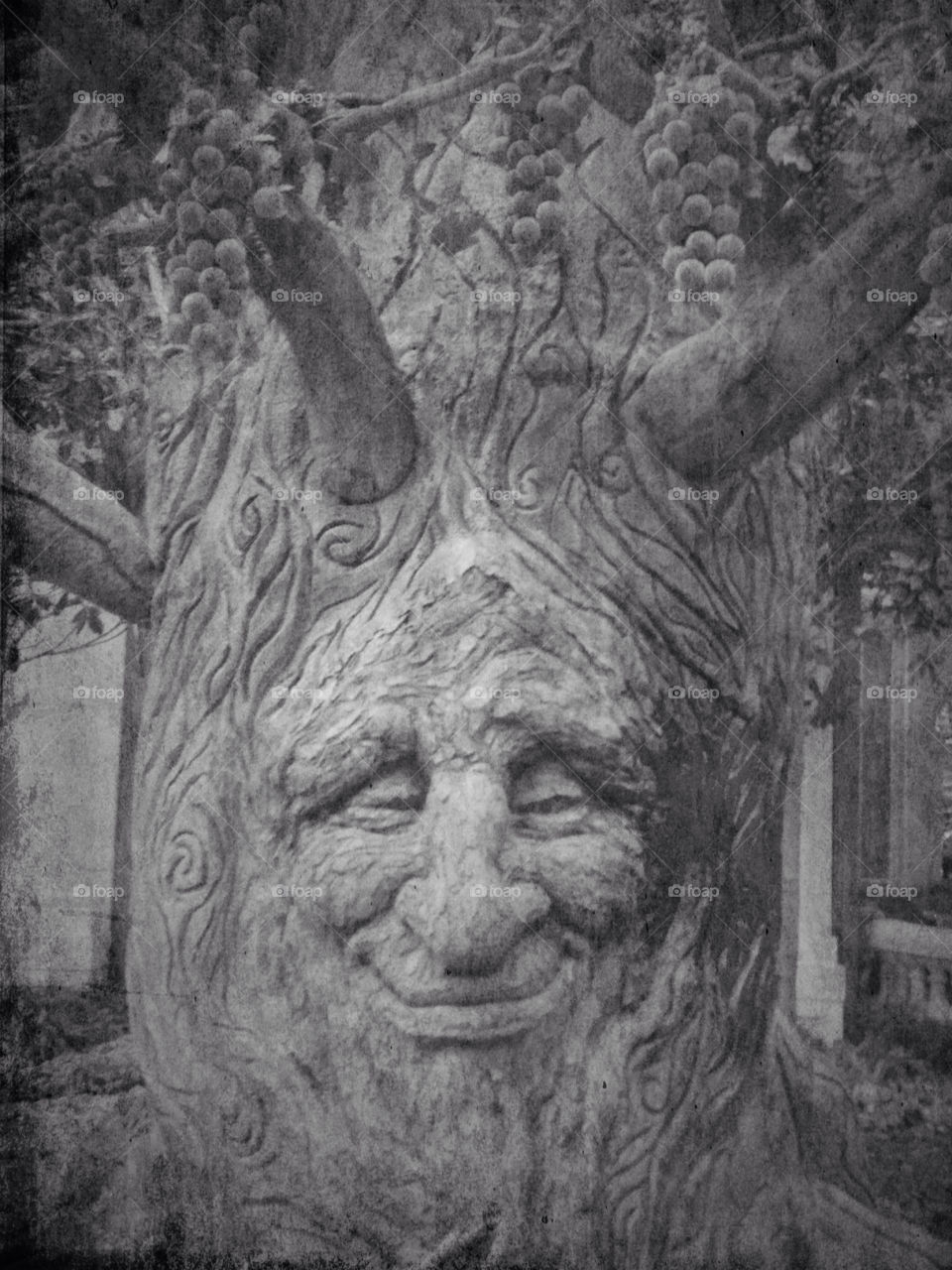 face tree smile tree of life by snook911