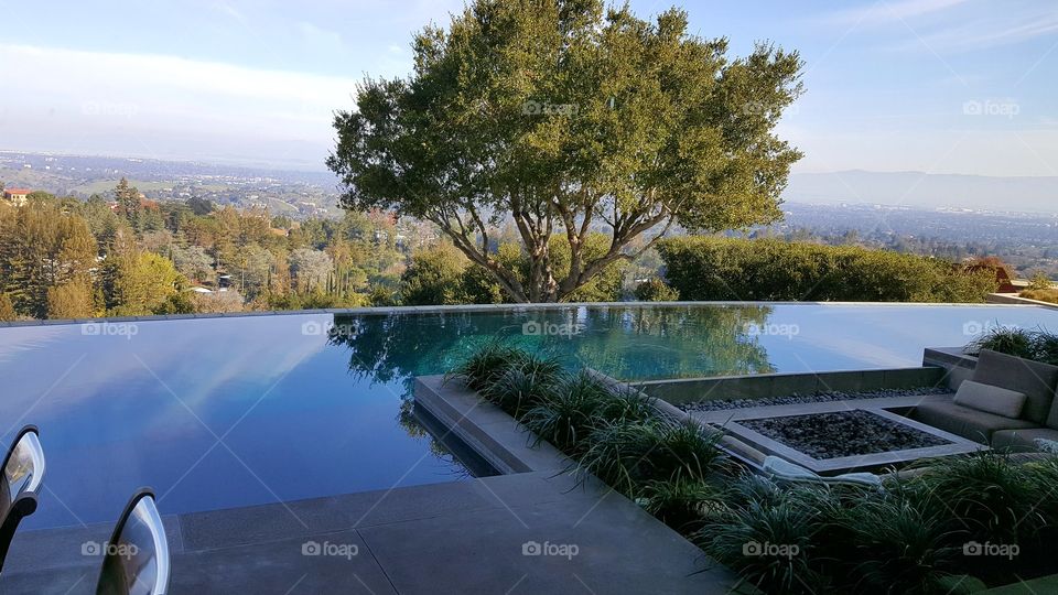 Trees reflecting in infinity pool