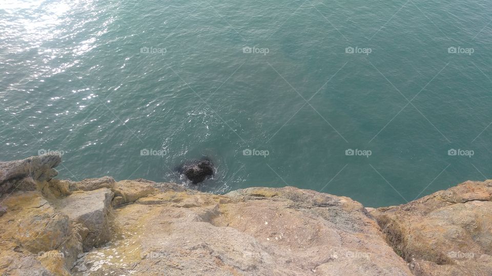 duck out swimming in the ocean