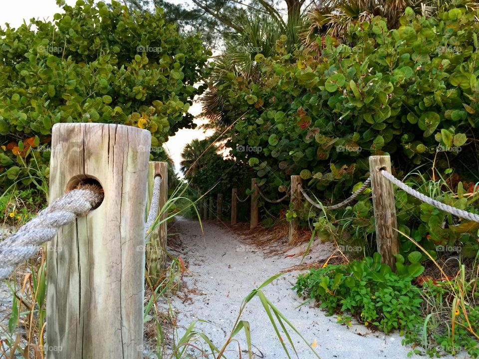 Beach pathway 