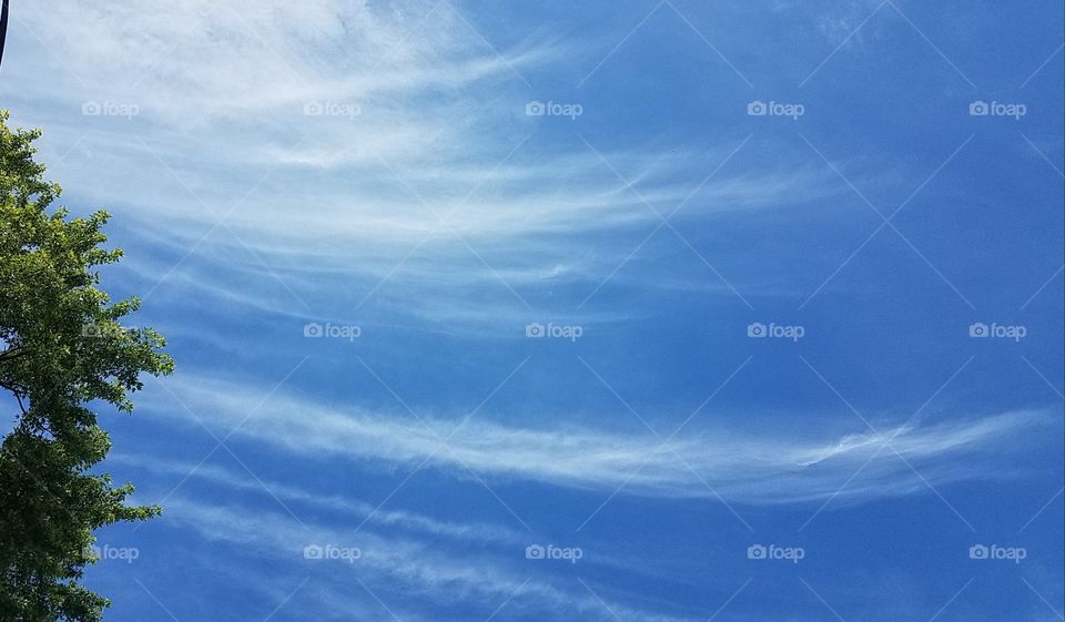 Whispy Clouds