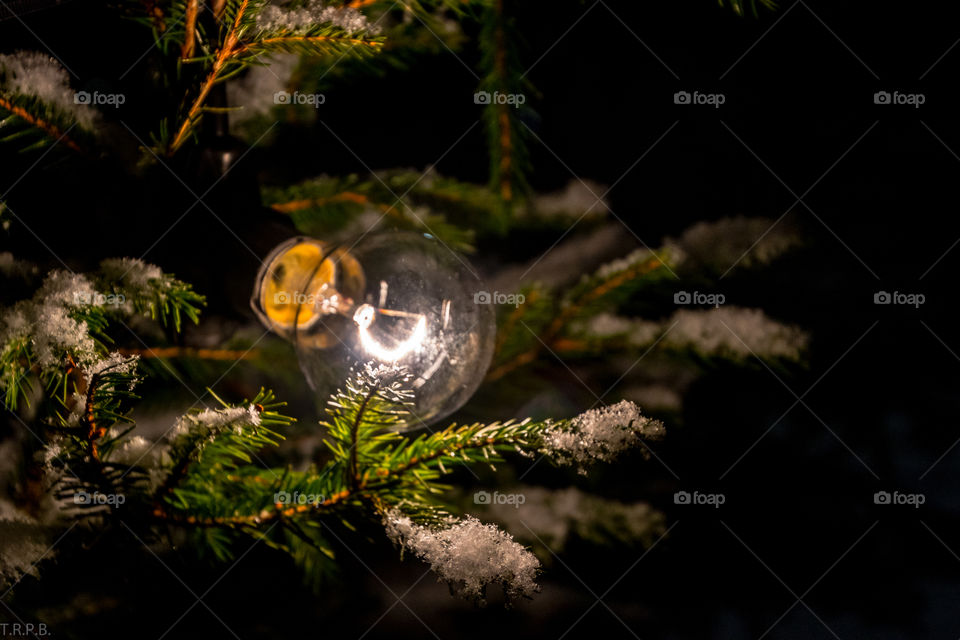 light bulb hanging out on the Christmas tree the last night of the holiday season