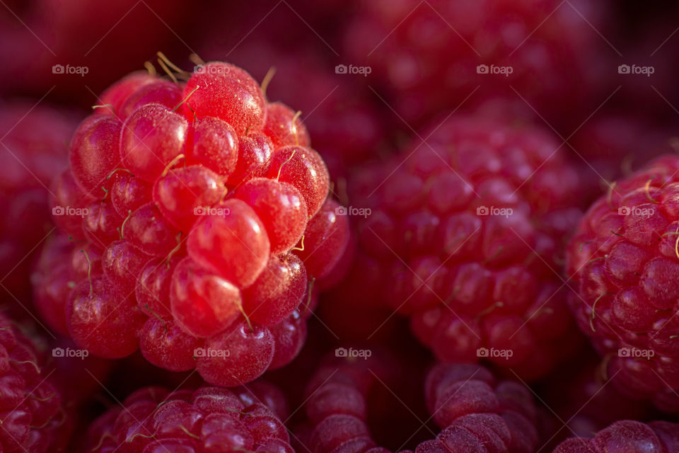 Close-up of a raspberries