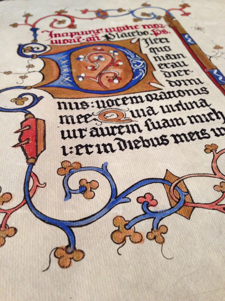 Illuminated Manuscript. Hand painted manuscript page fascimile