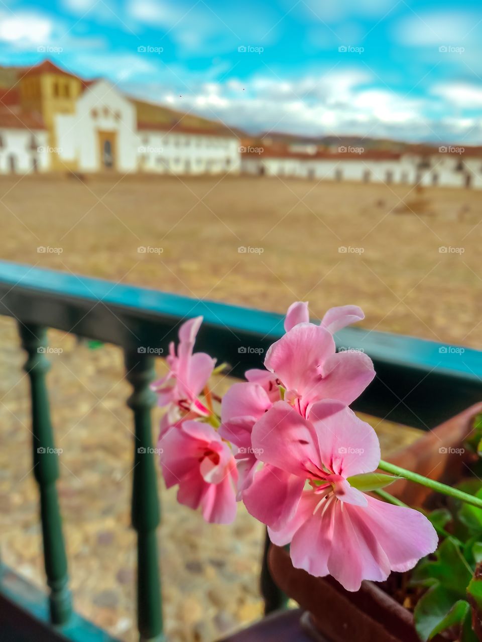 Hermosas flores rosadas en un balcón con vista hacia la plaza principal de Villa de Leyva Boyacá Colombia en un atardecer durante la cuarentena en mayo de 2020. Balcony, pink flowers, quarantine