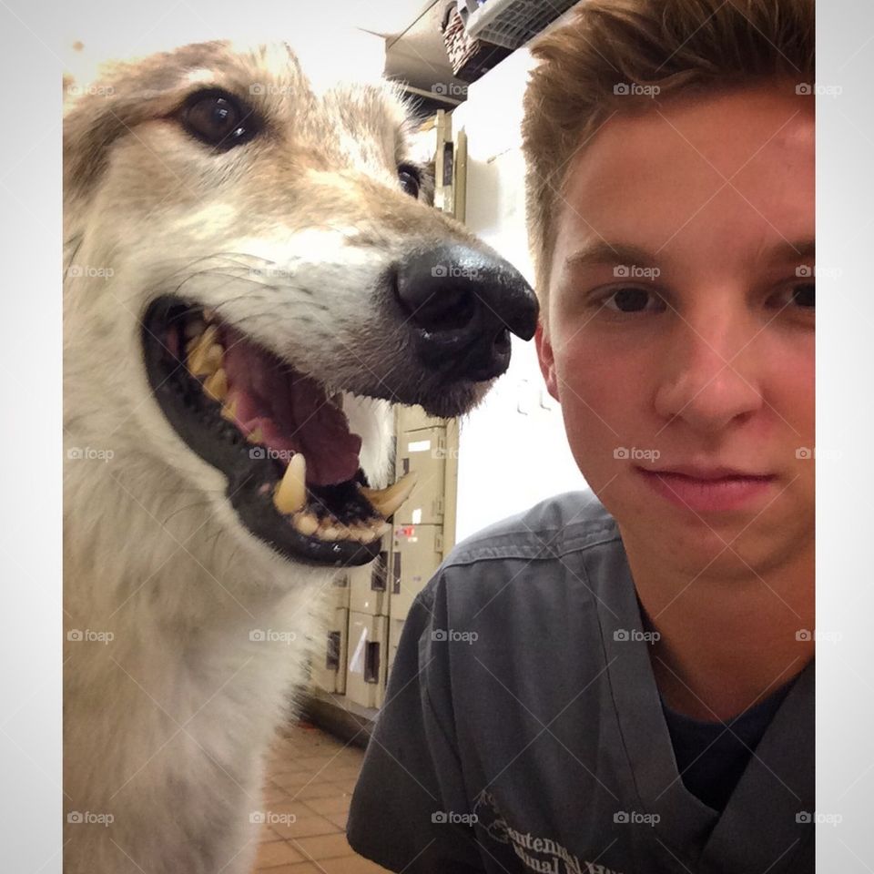 Wolf selfie. 