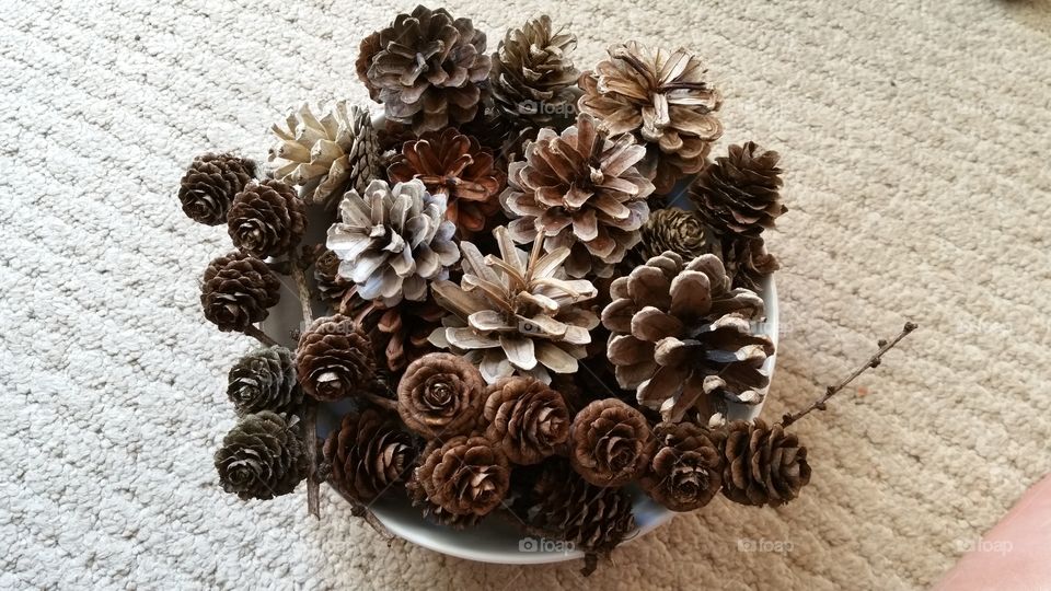 bleached ,pinecones, pinecone, autumn, autumnal, seasonal, English, October, November, September, bleach, bleaching, crafted, crafting, craft, crafts, natural, decorating, decorative, Dec's