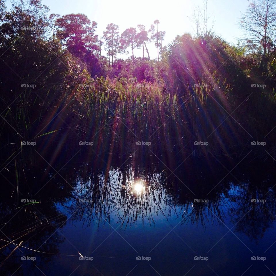 Solar flare on wetlands