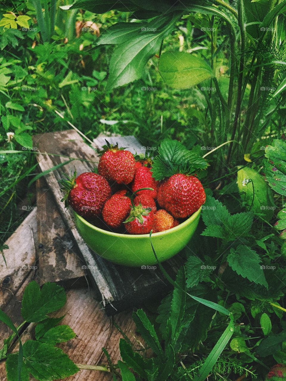 Strawberries from the garden 