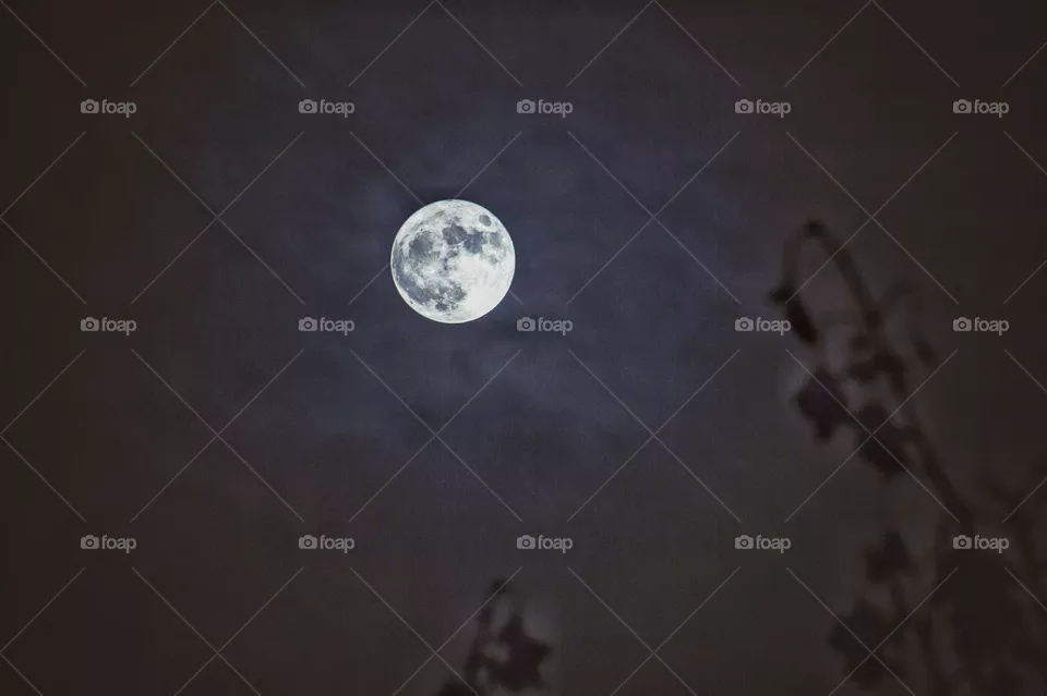 Full moon