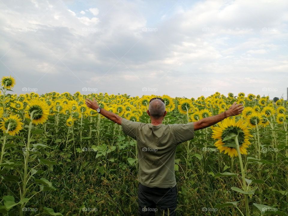 man With open arms in sunflower's field
