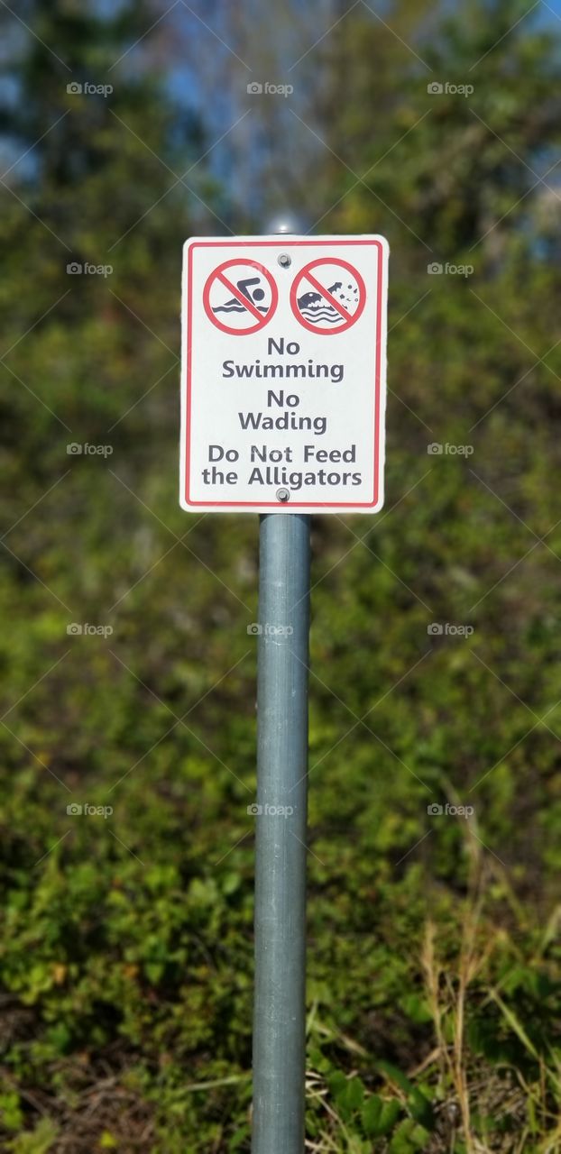 Don't feed the alligators