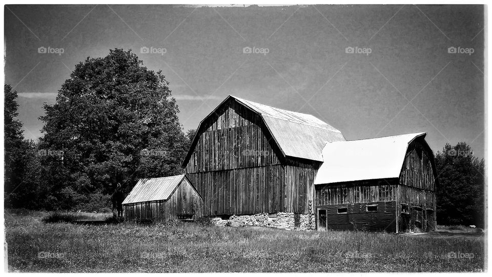 Barn, Shed, House, Farm, Farmhouse