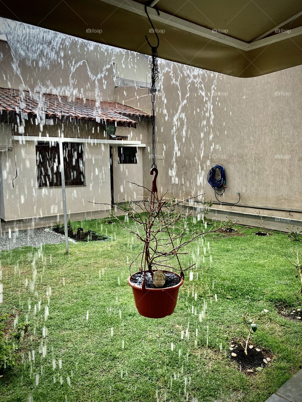 A chuva tão desejada chegou! Que ela limpe o ar e irrigue as plantas. Claro: apague as fogueiras por aí…