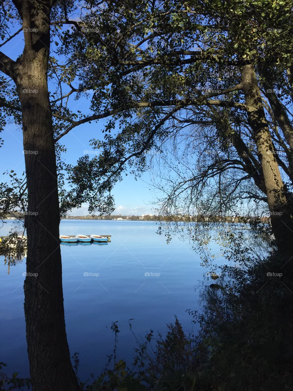 Alster