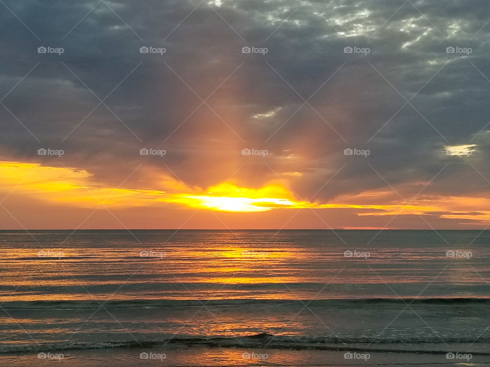 everything the light touches