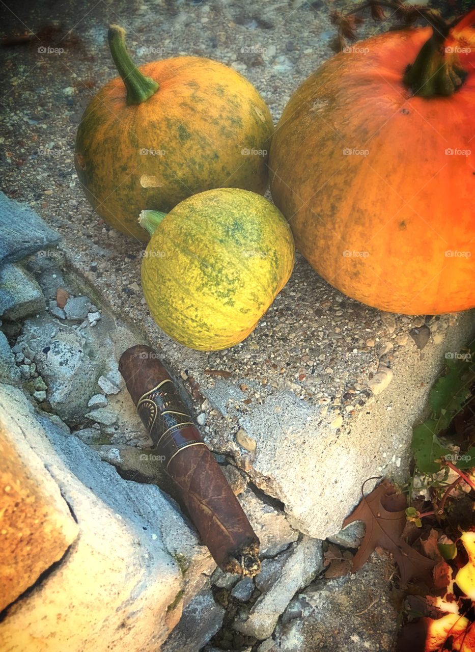 Autumn still life