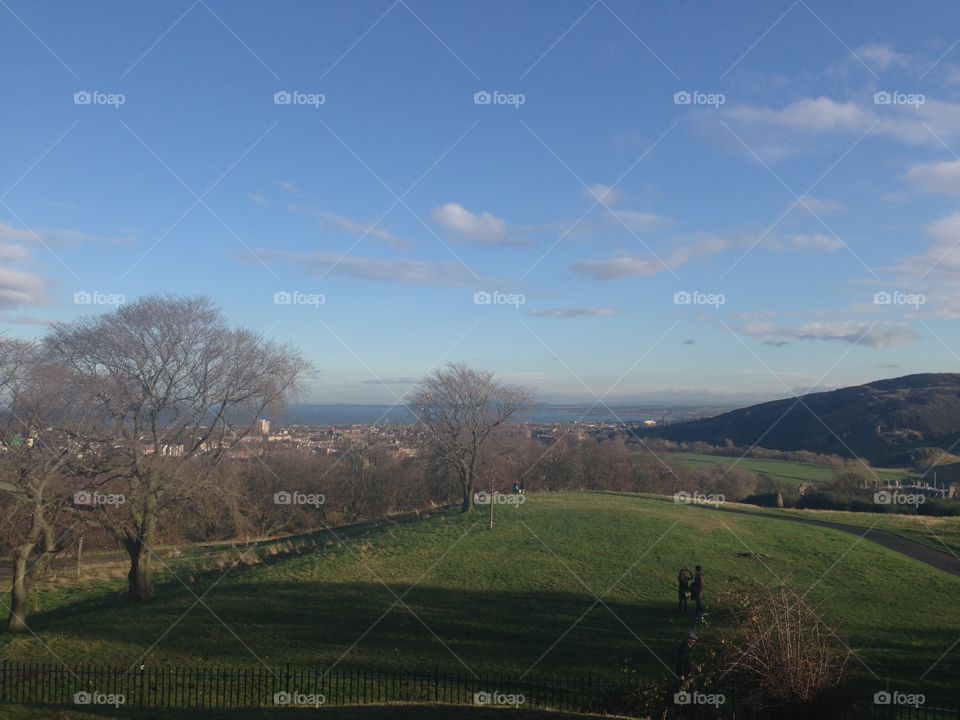 Landscape, Tree, No Person, Hill, Agriculture