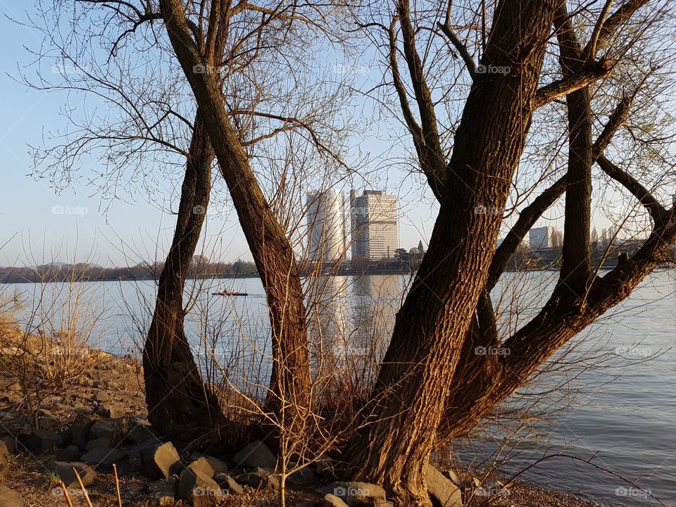 Rhein Bonn