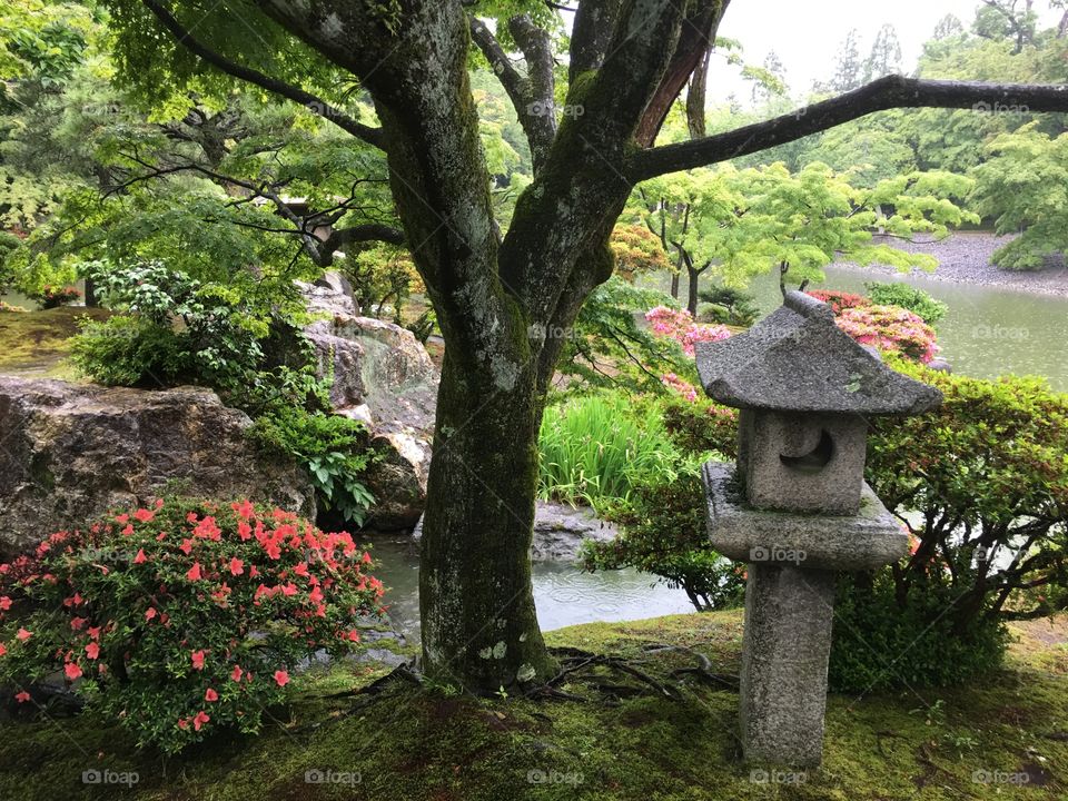 Japan Garden