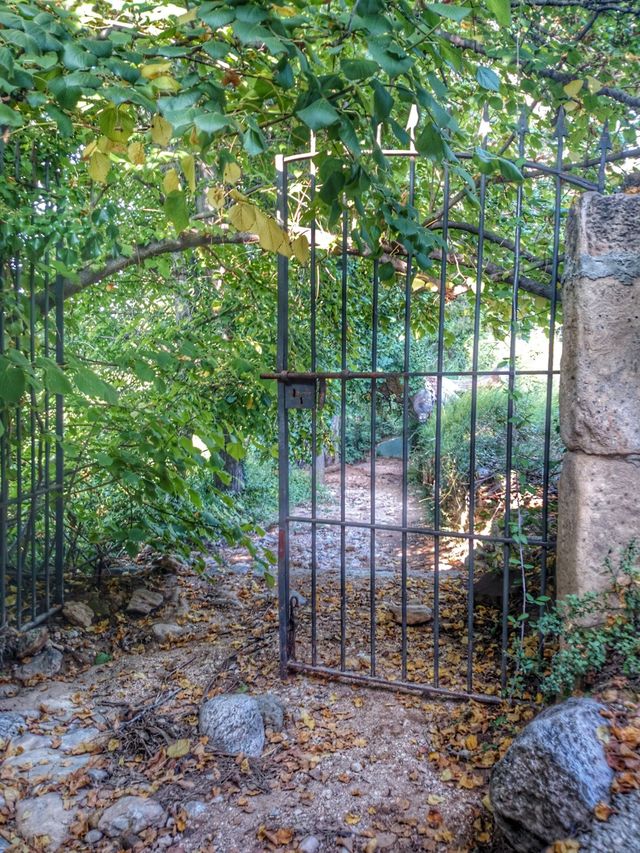 Door 