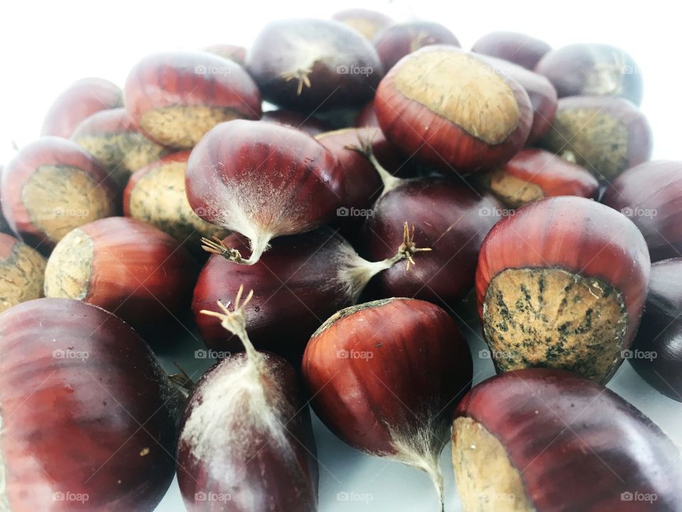 Chestnuts on a white background. 