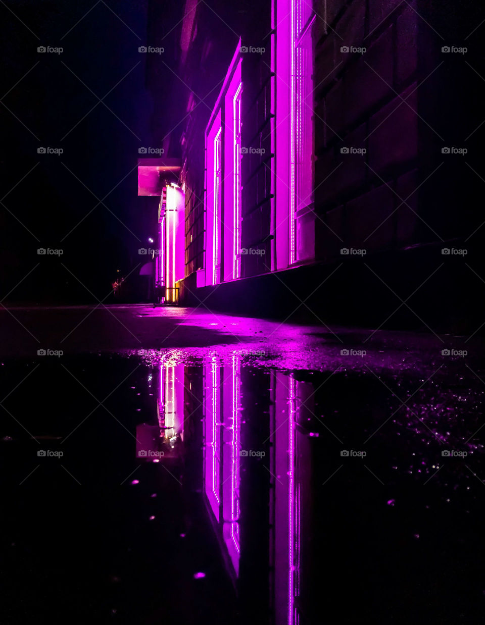 Reflection of neon Lights