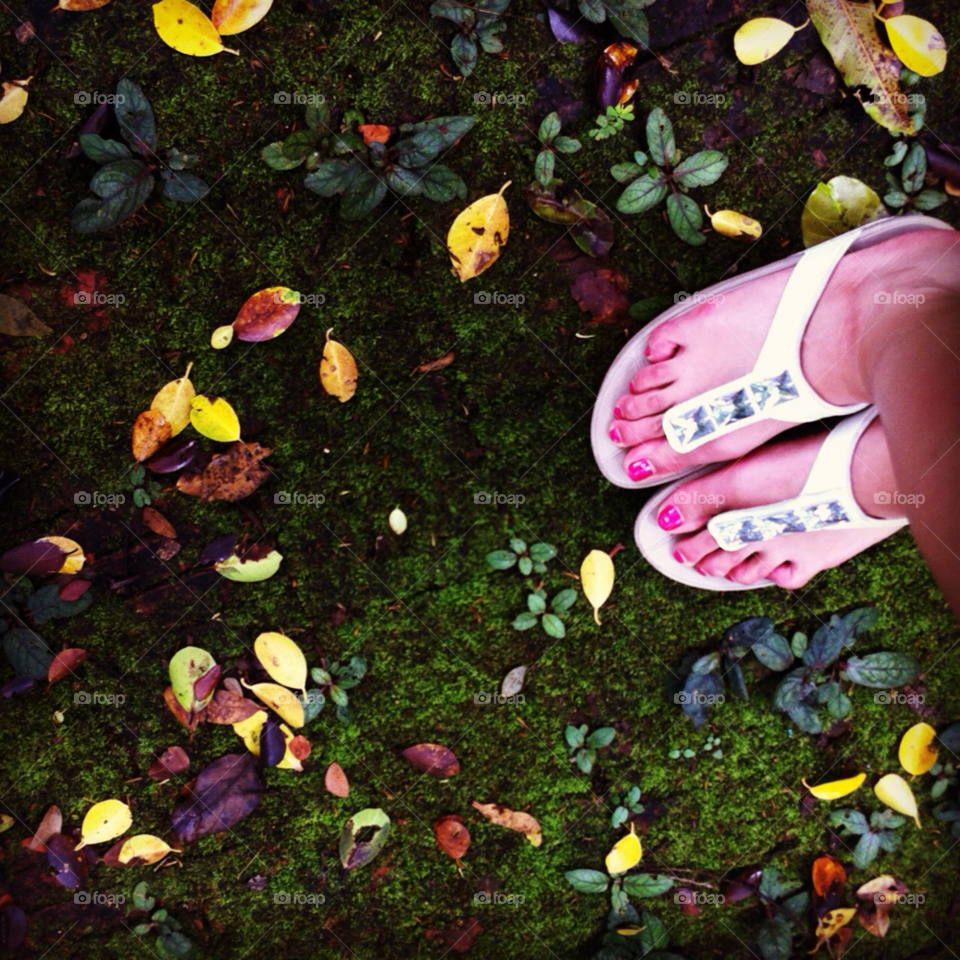 shoes leaf feet damp by wacharapol