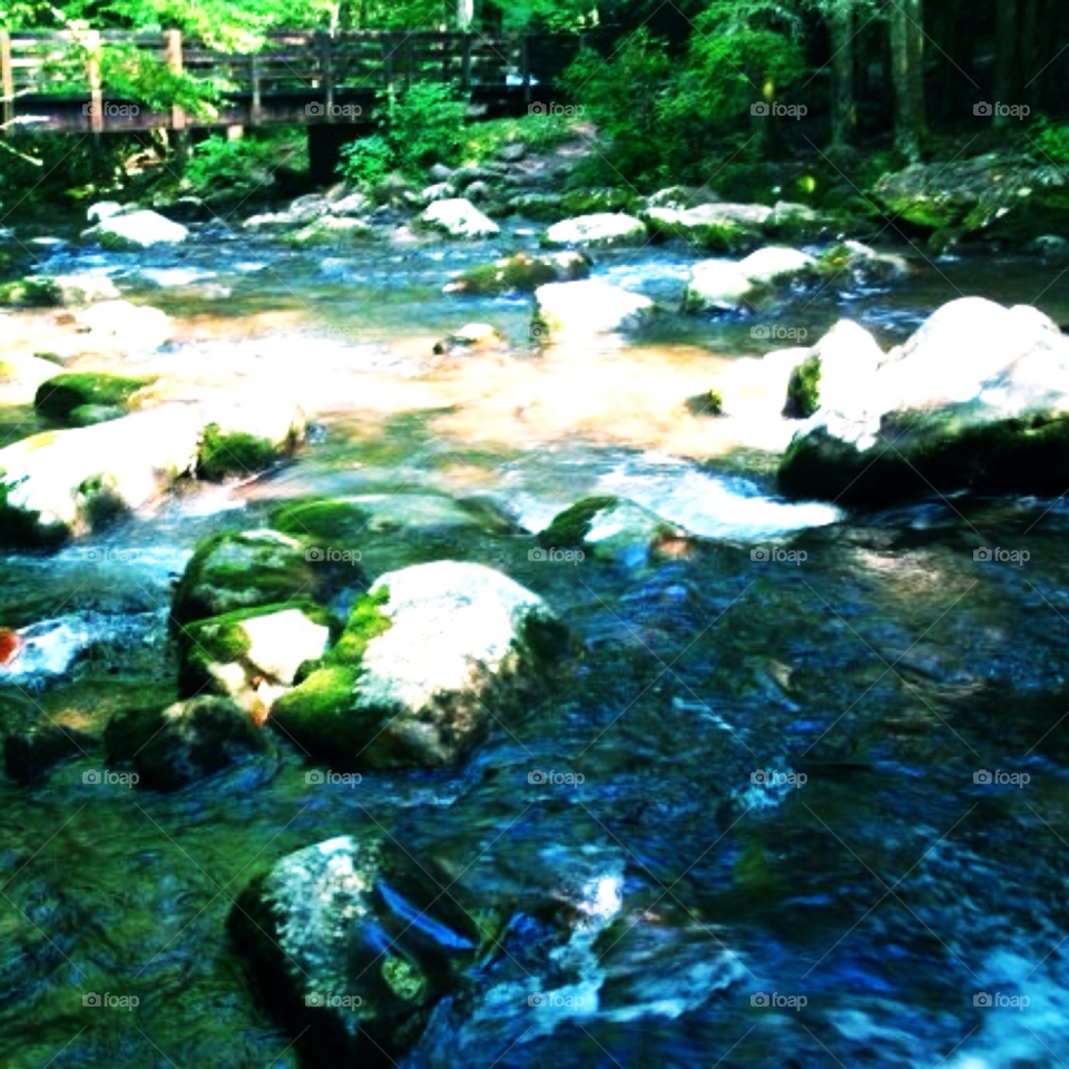 trees bridge rocks creeks by SassyChic23