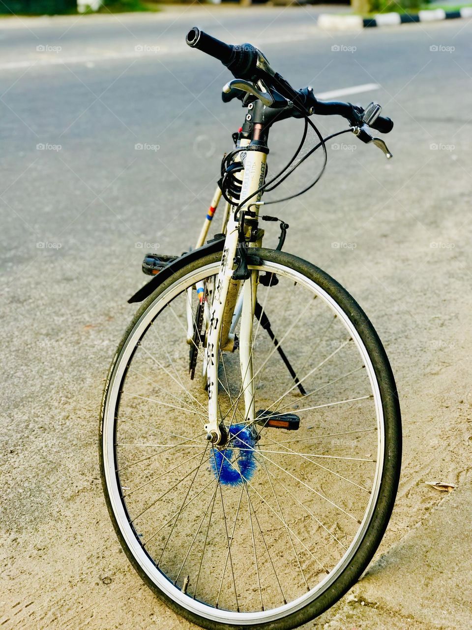 Two wheels, one love!🚲