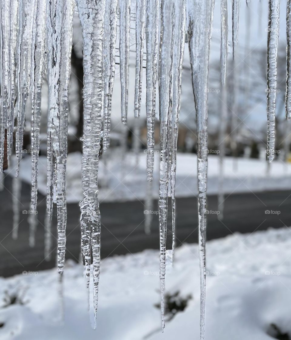 Finding beauty in a frozen wonderland.