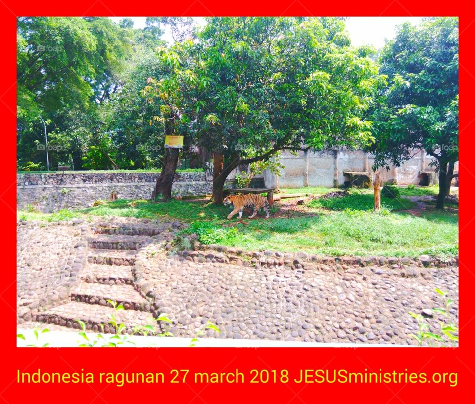 Indonesia ragunan 27 march 2018 JESUSministries.org