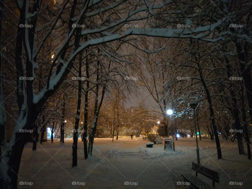 night street view winter time