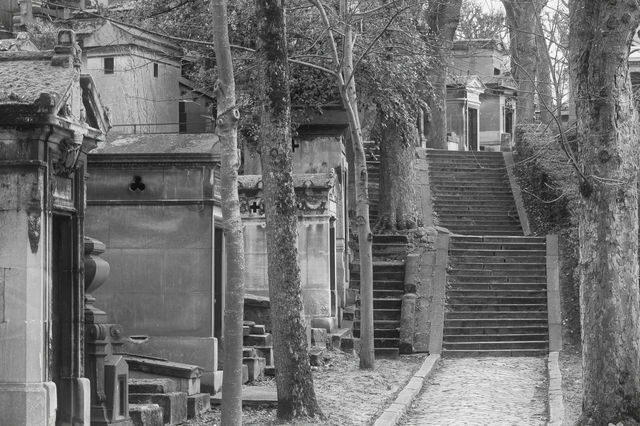 graveyard in the cemetery in paris