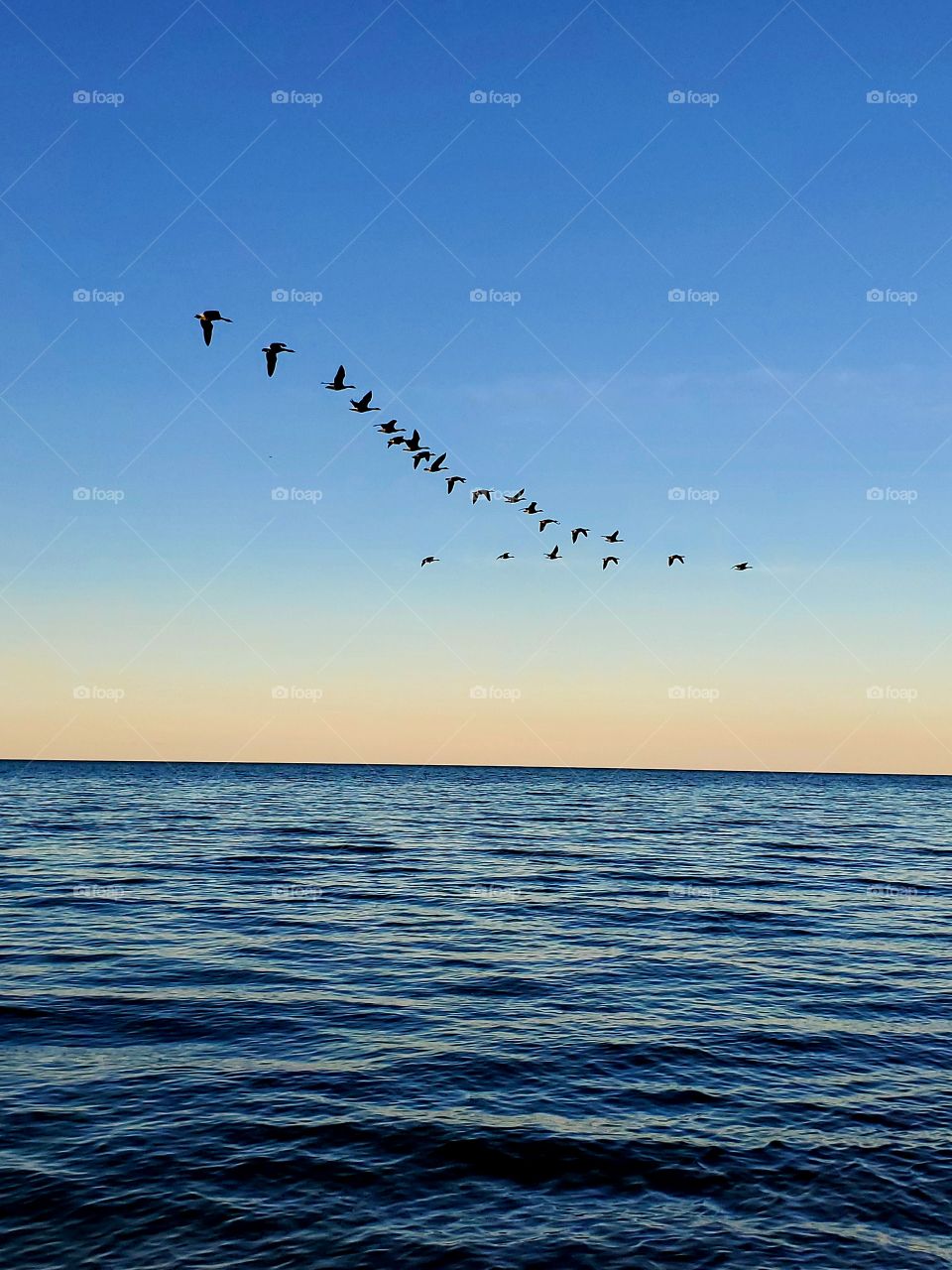 A Niagara on the lake evening