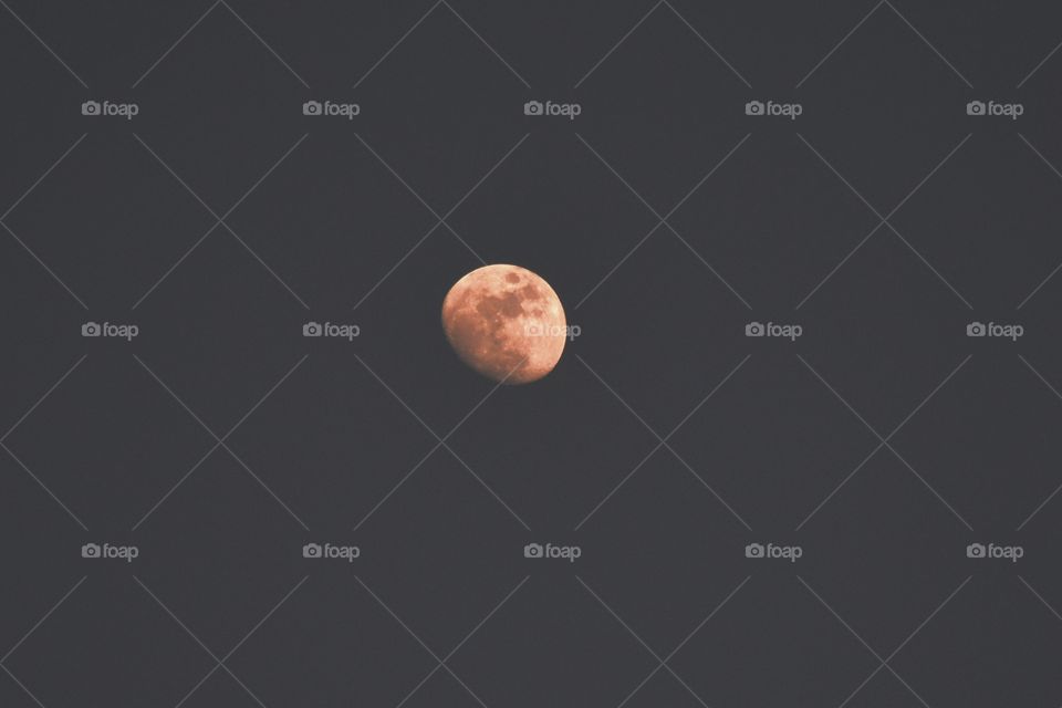 Blood moon 