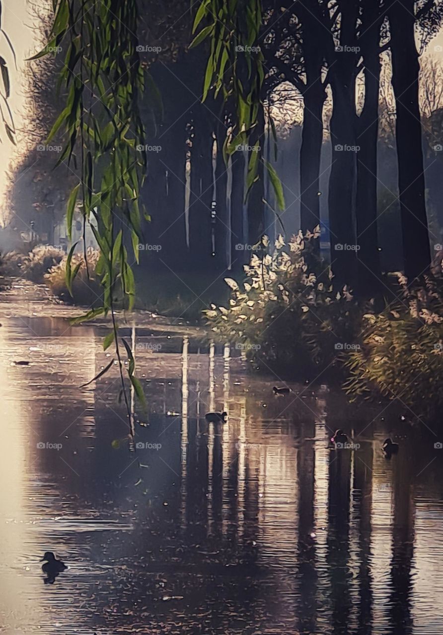 Near the railway..beauty of nature