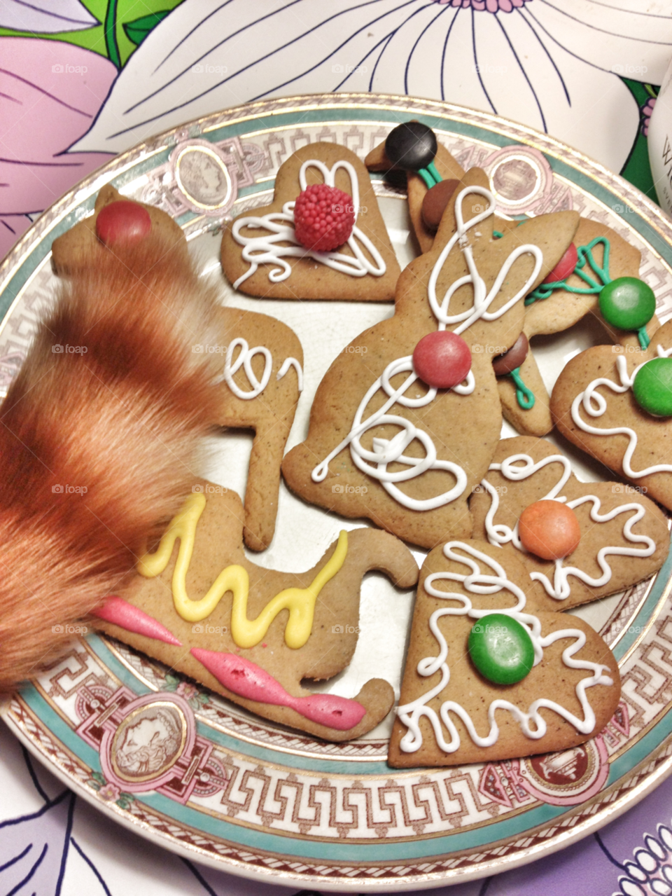 ginger snaps and cat tail