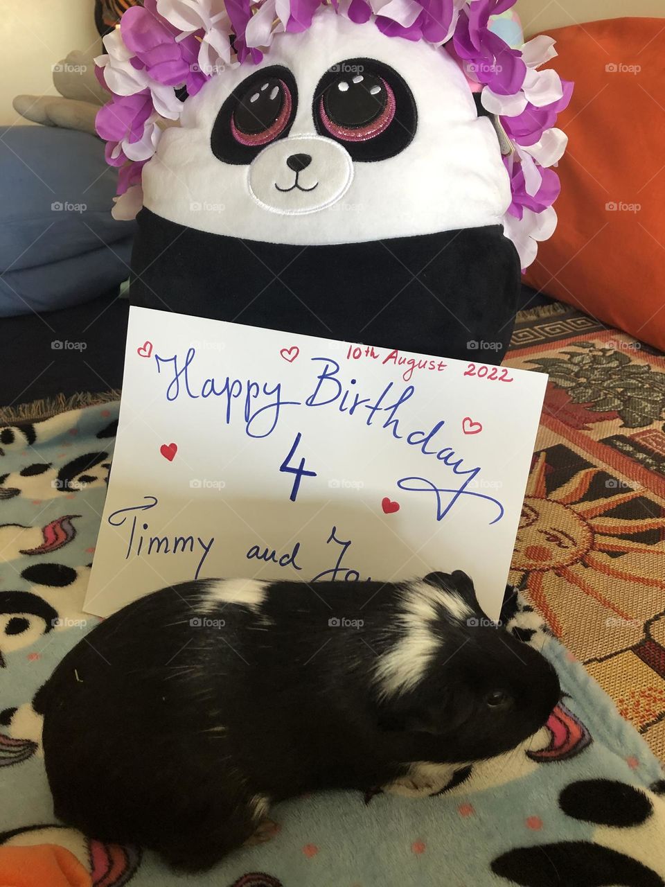 Special Birthday celebration Timmy playing with his poster . 